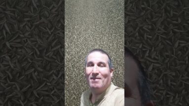 Where does the IRS get information to levy your bank account? What info do they use? 2 Where does the IRS get information to levy your bank account? What info do they use?